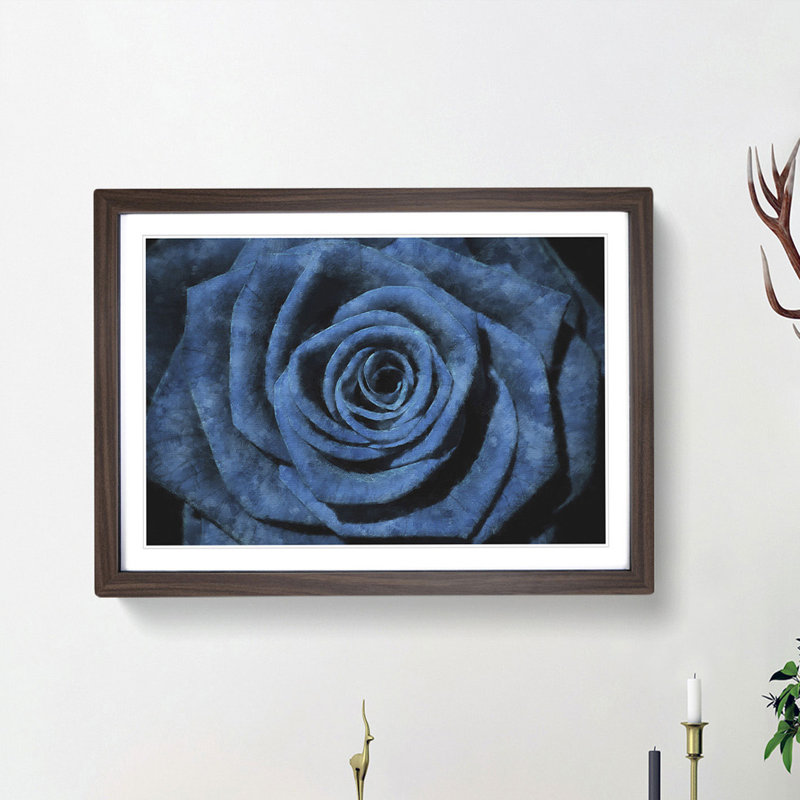 Pretty Blue Rose - Framed Print, 24cm H x 33cm W x 2cm D, Walnut Framed