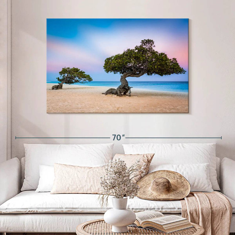 Harnek Divi Divi Trees, H 32 po x l 48 po