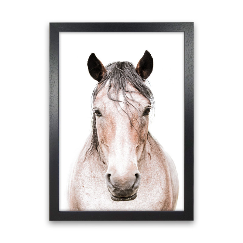 Horse by Victoria Frost - Print, Black Framed, 34cm H x 25cm W x 3cm D
