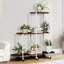 Plant Stand