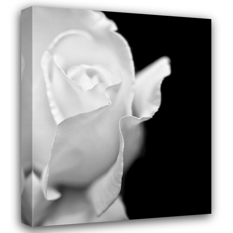 Jennie Marie Black and White Rose Canvas Print with White Frame