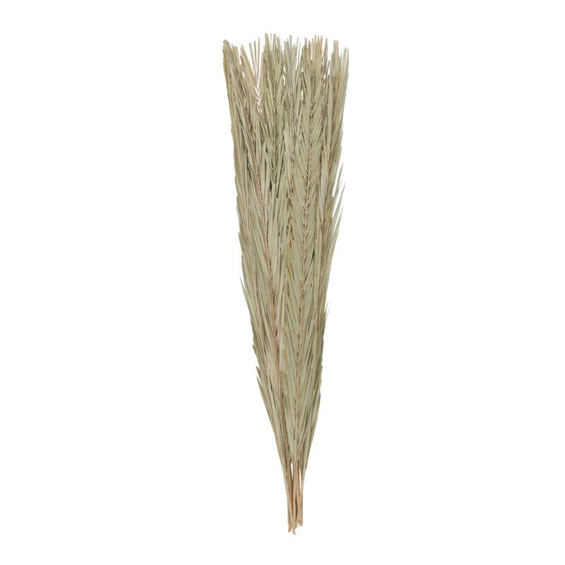 Grand feuillage naturel Cole and Grey Leaf
