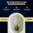 Two-Piece Elongated Toilet In White With Soft-Close Lid, 1.6 GPF Flush, Compatible With Macerator Pump (Toilet Only)