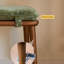 Banc rembourré vert noisette-275847423