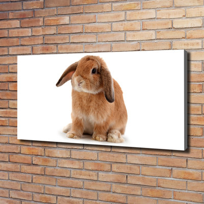 Red-Haired Rabbit - Wrapped Canvas Print