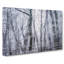Winter Forest Vol.11 - Wrapped Canvas-61880898