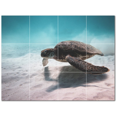 Carrelage mural photo 48 "x 36" en céramique tortue PT501072: 12 "x 12" (ensemble de 12)