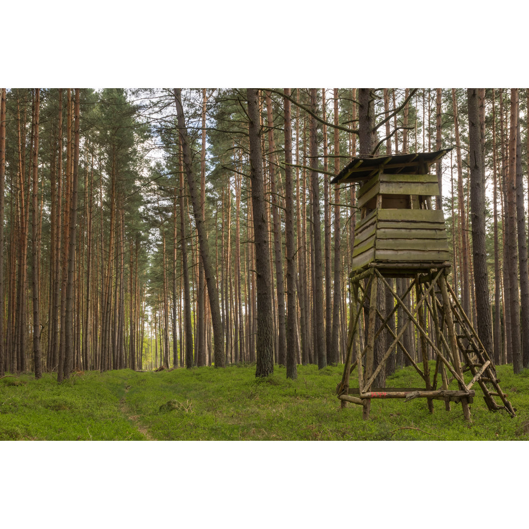 Leinwandbild Hochsitz am Waldrand von Kama71