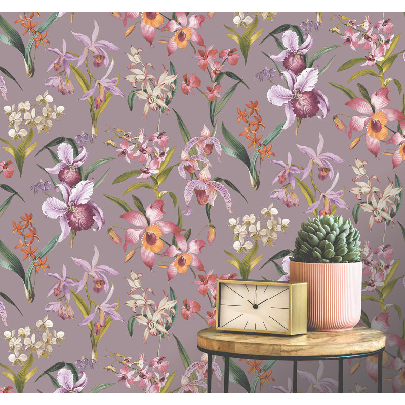 Araneli, Lilac