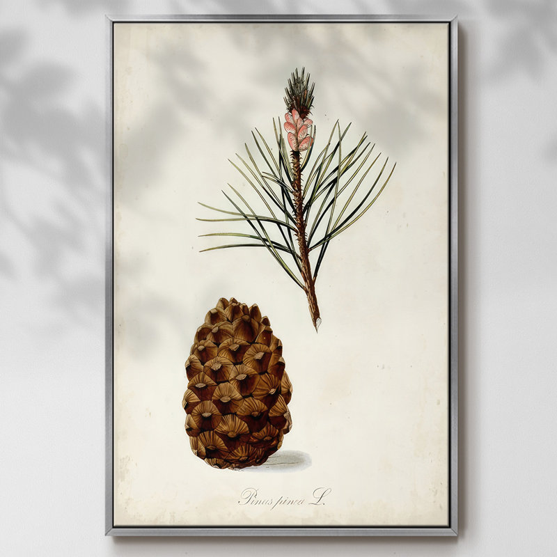 Étude d'arbre antique V, H 25 po x l 17 po x P 1,5 po, Encadrement argenté