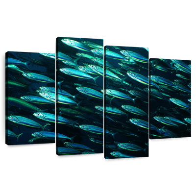 Brampt Shoal Of Fish