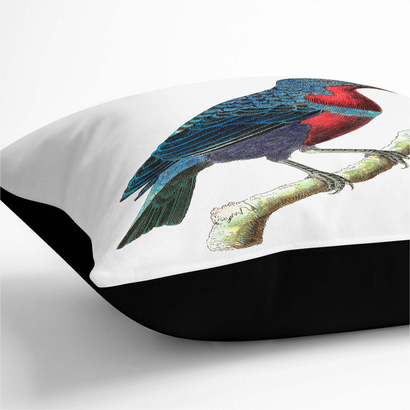 Square Cushion, 55cm H x 55cm W x 20cm D, Black