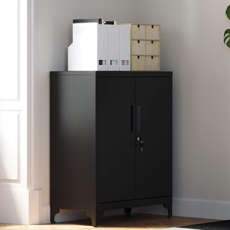 Armoire de rangement simple en acier Lylliana (H 35,4 po x l 31,5 po x P 15,7 po), Noir