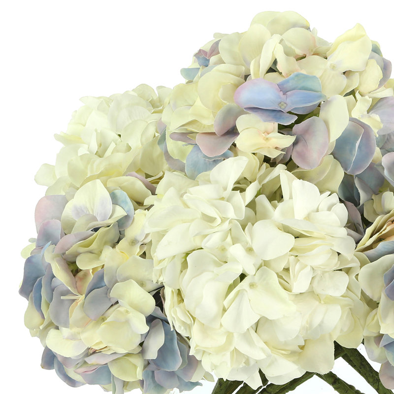Assortiment d'hortensias dans un vase en verre