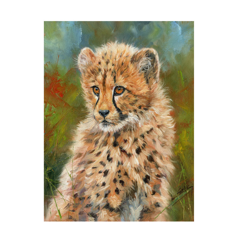 Art sur toile David Stribble Cheetah Cub 3, H 14 po x l 19 po