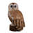 Tawny Owl 5Ft
