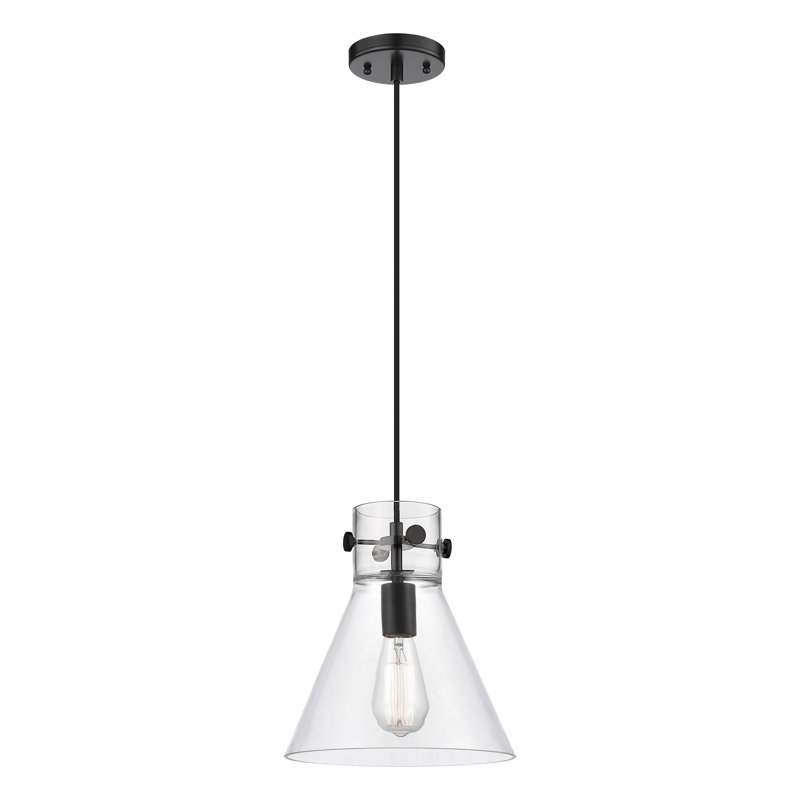 Luminaire suspendu à cordon 1 lumière Newton Cone, H 11,75 po x l 10 po x P 10 po, Clair, Noir mat