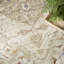 Tapis taupe ivoire 4 pi x 6 pi Nourison Pardis-117637680