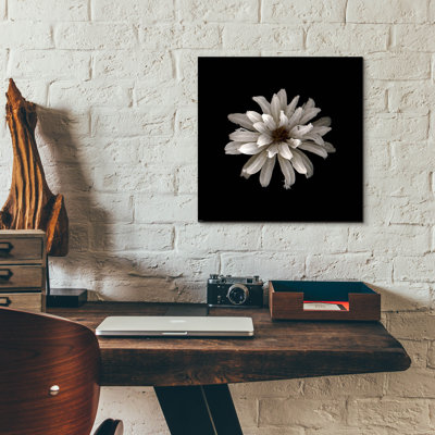 " All White " by PhotoINC Studio