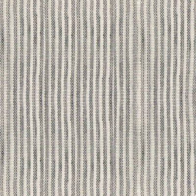 Suite Fabric