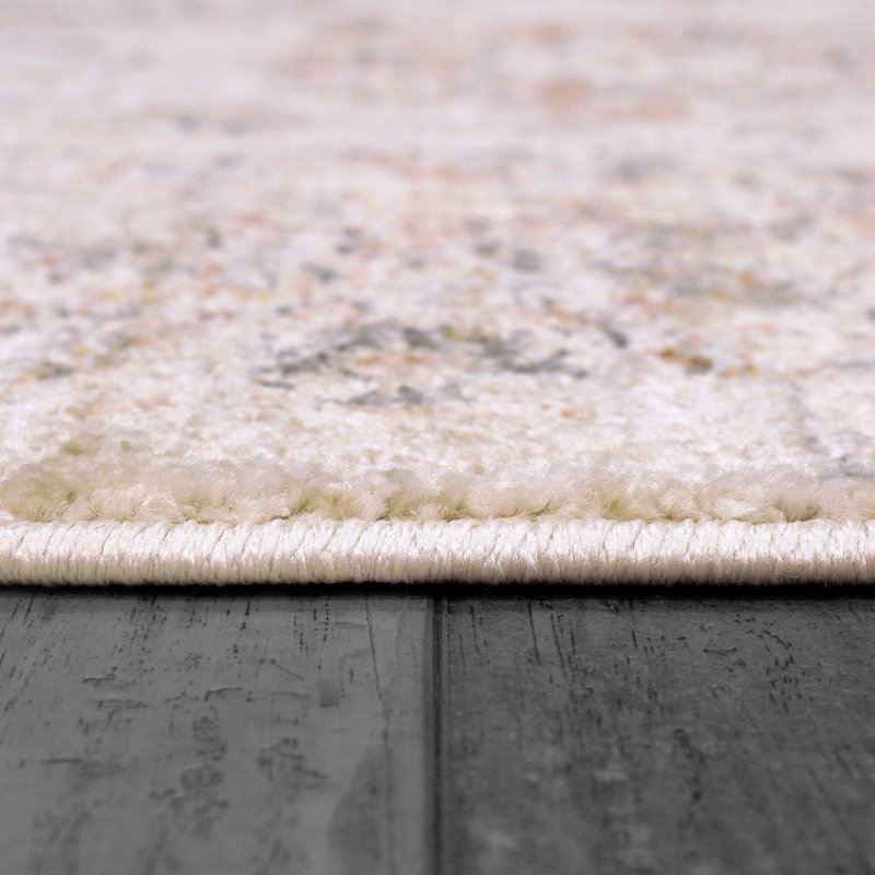 Rojin Oriental Indoor Rug, Rectangle 7'10" x 10'2"
