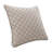 Paragon Polyester Throw Square Pillow Cover & Insert