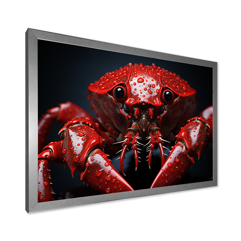 Red Mantis Shrimp I, reproduction d'art sur toile, Cadre simple argenté, H 30 po x l 40 po x P 1,5 po