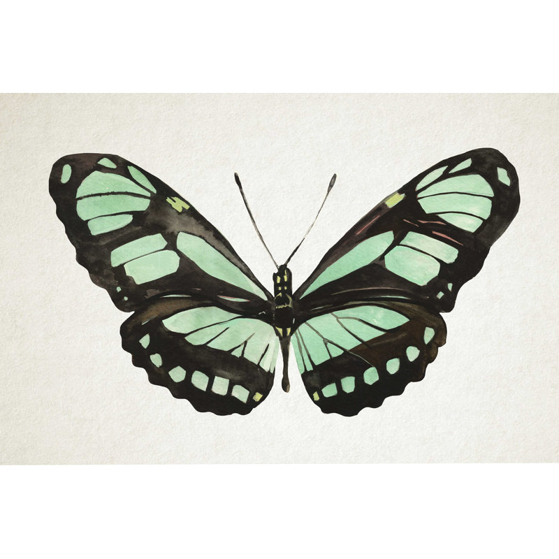 " Mint Butterfly II " by Annie Warren, 32" H x 48" W x 1.25" D