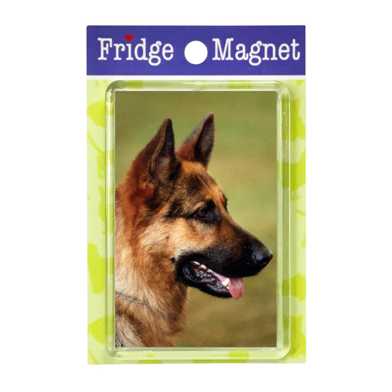 Fridge Magnet