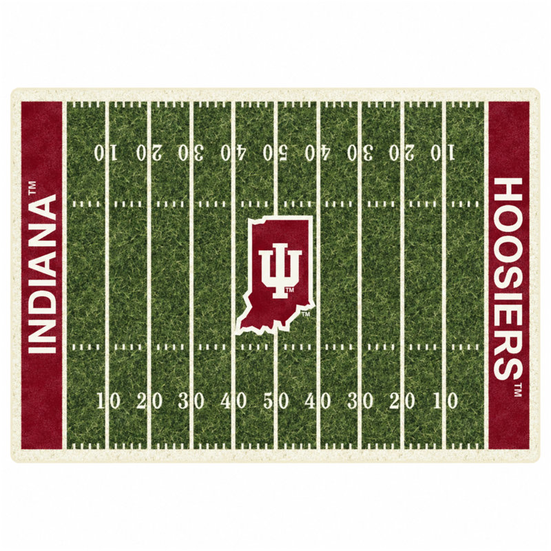 Indoor Rug, 7'8"x10'9" Rectangle