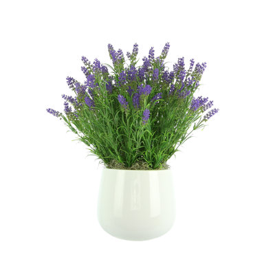 Outdoor UV-Rated Lavender in Fiberstone Pot