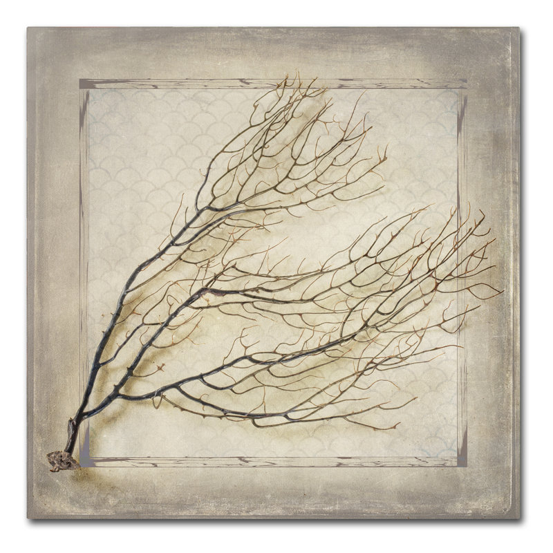 « starfish sea leaf », reproduction d’impression sur toile tendue, H 35 po x l 35 po x P 2 po