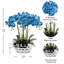 Rowney Arrangement-474680318