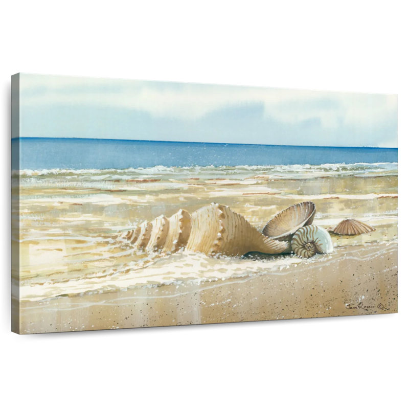 Aletra Seashells