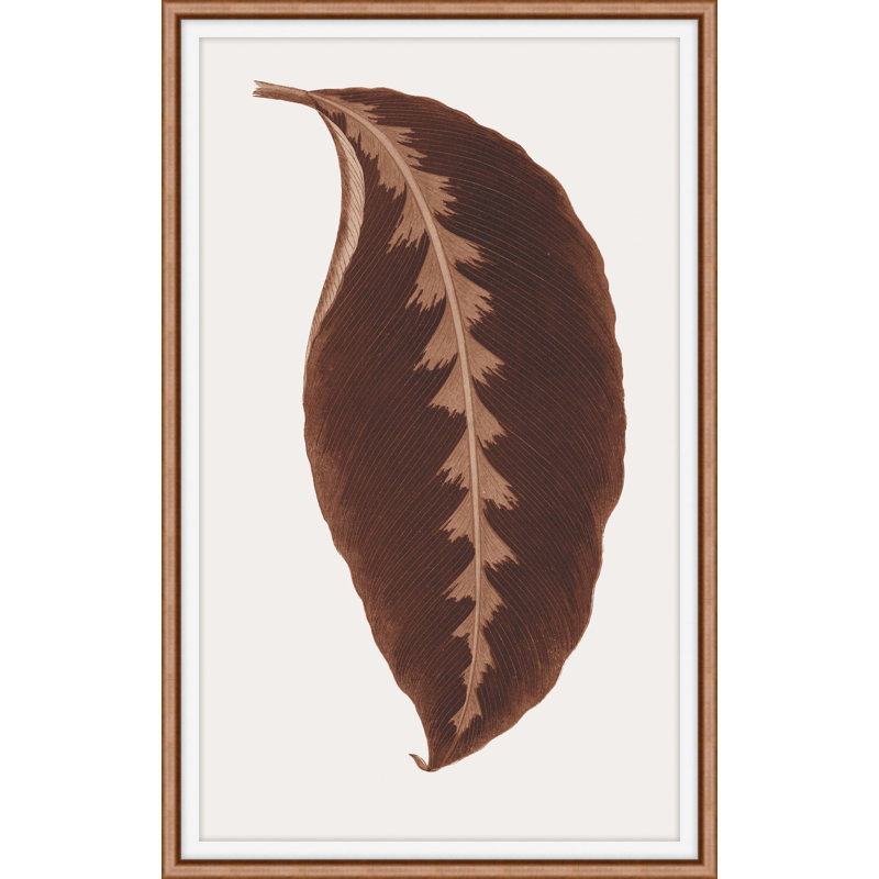 Neoteric Trace 4 Print by Art House Studios, 28" H x 19" W x 1" D