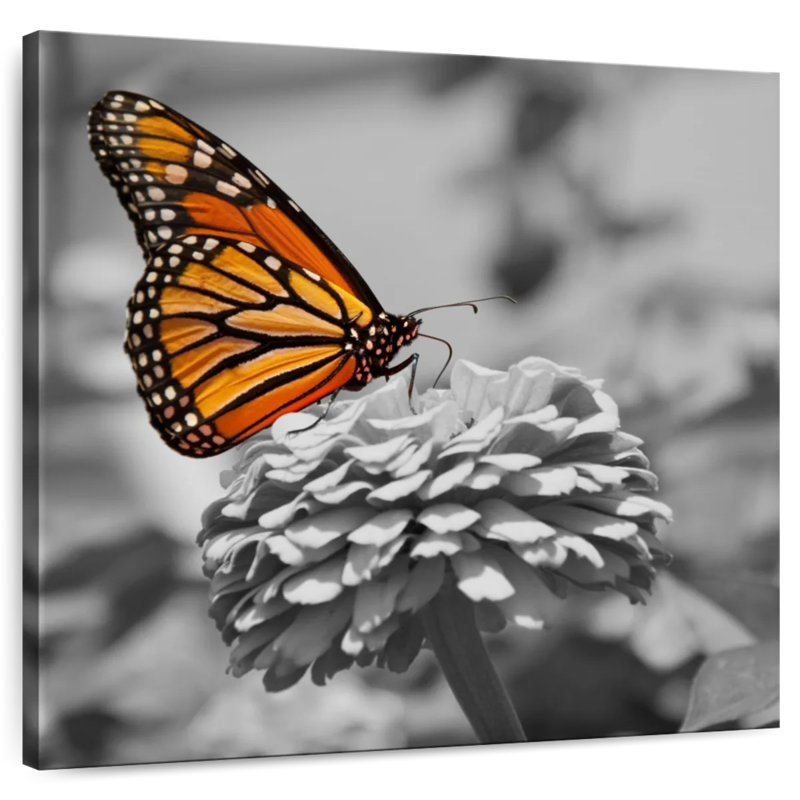 Brampt Amber Toned Butterfly, 39" H x 39" W