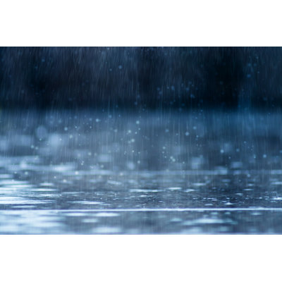 Rain Rain - Photographie sur toile tendue