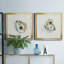 «Old Salt Shell I», ensemble de 2 reproductions d'art encadrées-2118285821-2126001041-2048829126