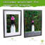 Acrylic Picture Frame - Set of 3-120344579