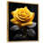 Gold Floater Framed