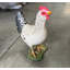 Statue de poulet blanc grandeur nature