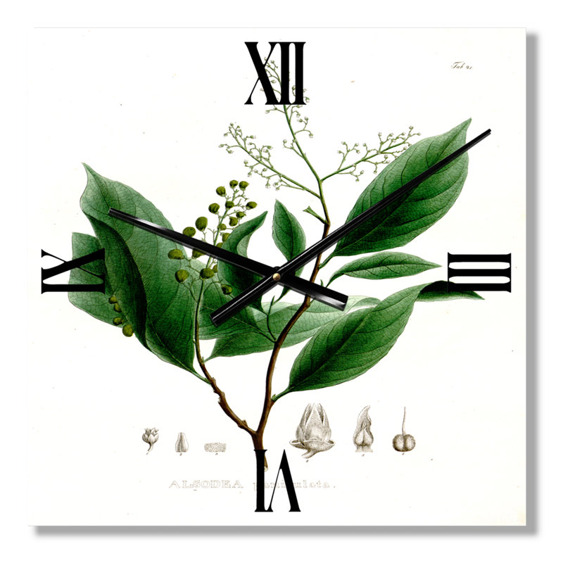 Plante brésilienne rétro II - horloge murale traditionnelle, Grand