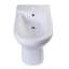 Bidet à fixation au sol 15,33 "