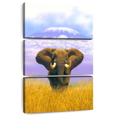 Éléphant Brampt à la montagne de la Table