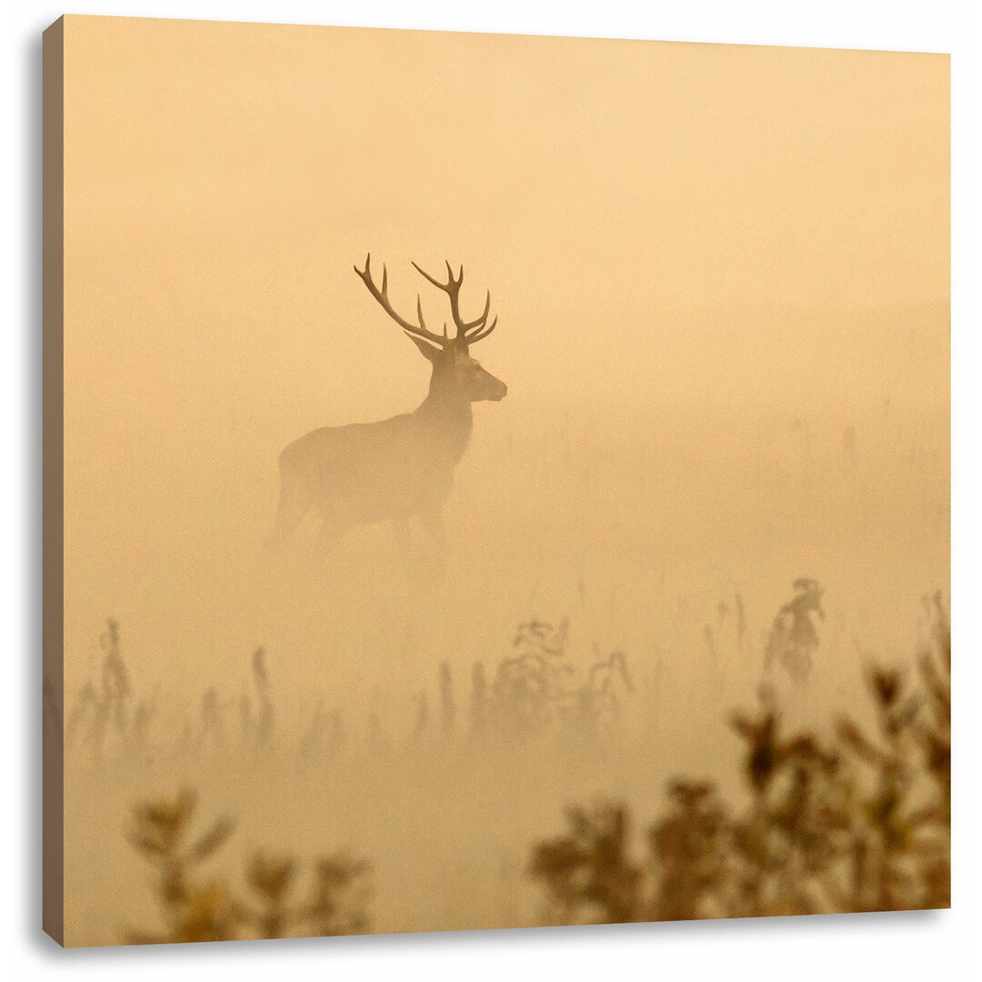 Leinwandbild Hirsch im Nebel