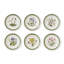 Botanic Garden Etchings, Set Of 6 Side Plates