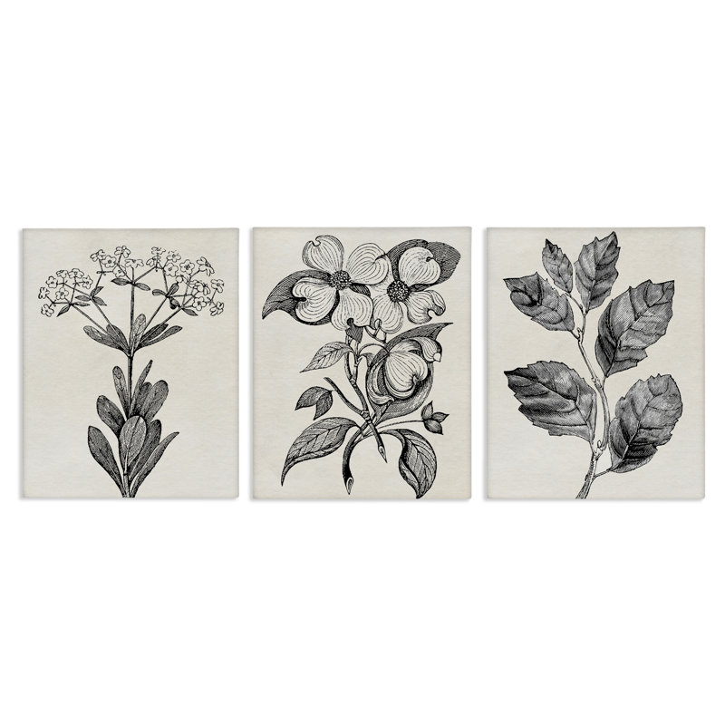 Ensemble de 3 toiles Classic Natural Botanicals, design par Karen Smith, H 20 po x l 48 po