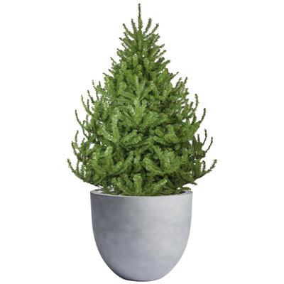 Dorlis Handmade Pot Planter
