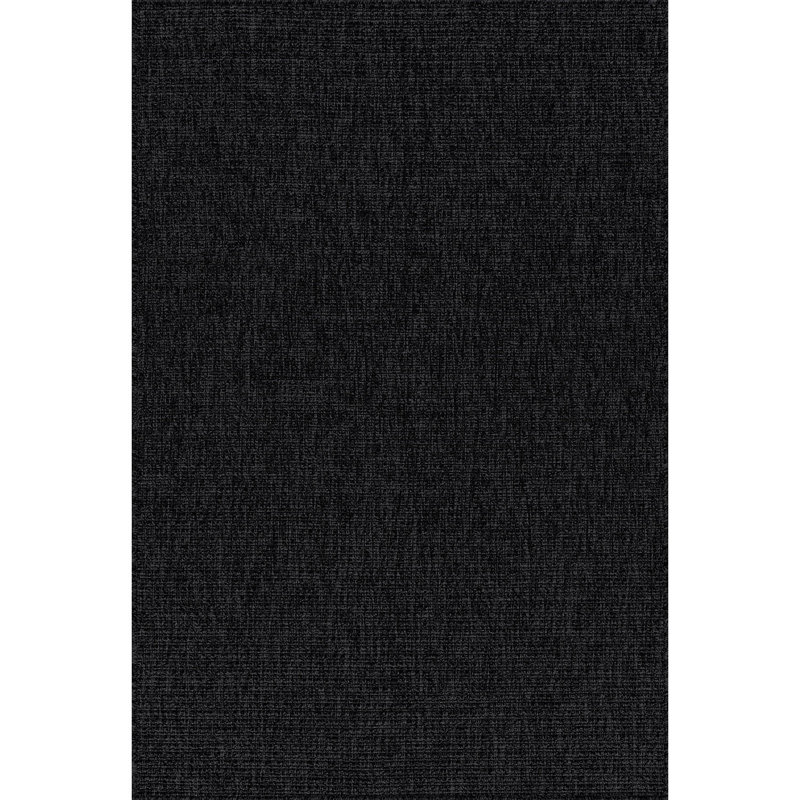 Nadene Dark Gray Indoor Area Rug, Rectangle 2' x 3'