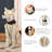 20.50"H Ligted Halloween Lighted MGO Skeleton Dog Porch Decor With Timer